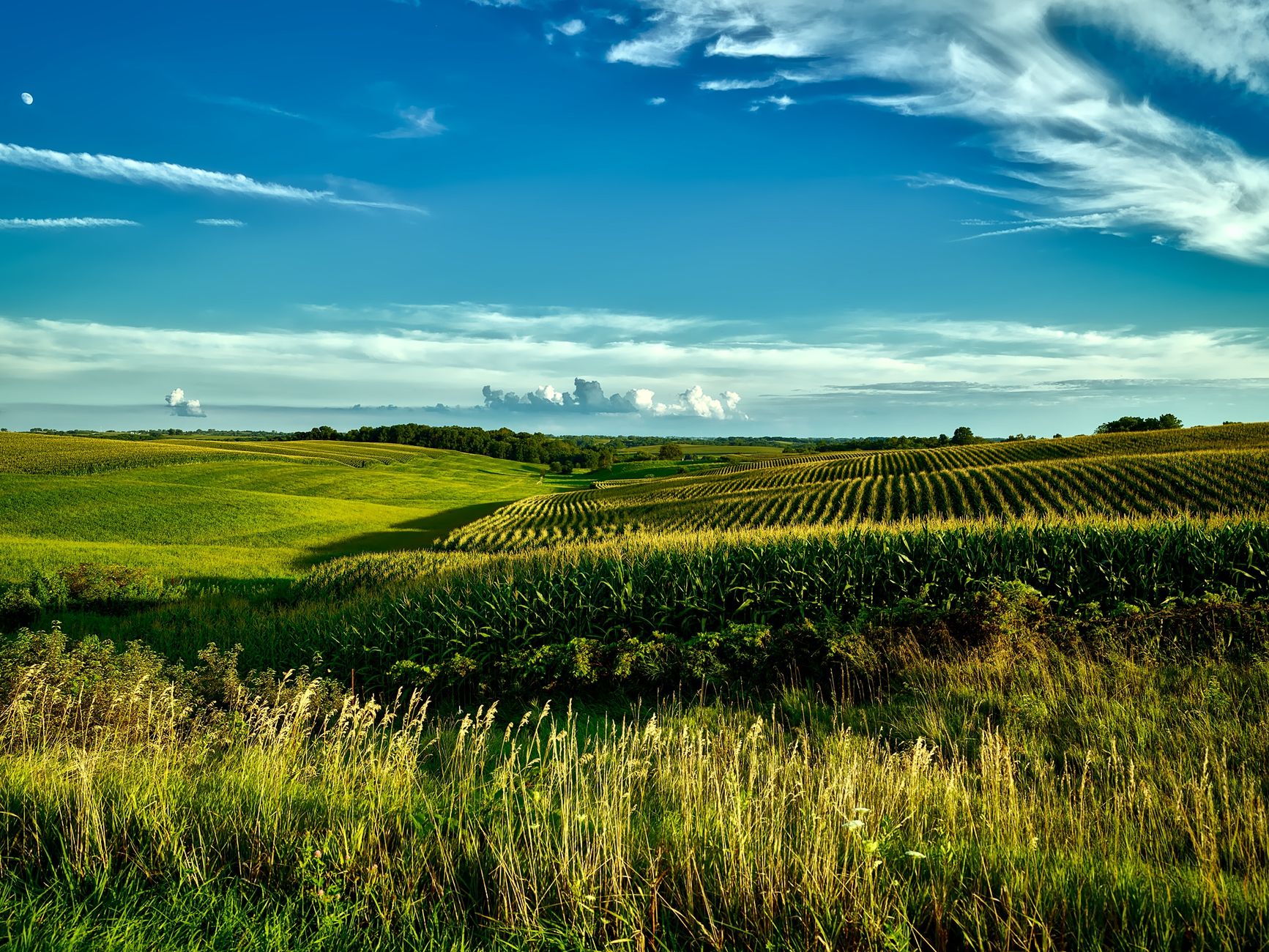 Rural Iowa farmland at golden hour, representative of Midwest cropland sold via land auction