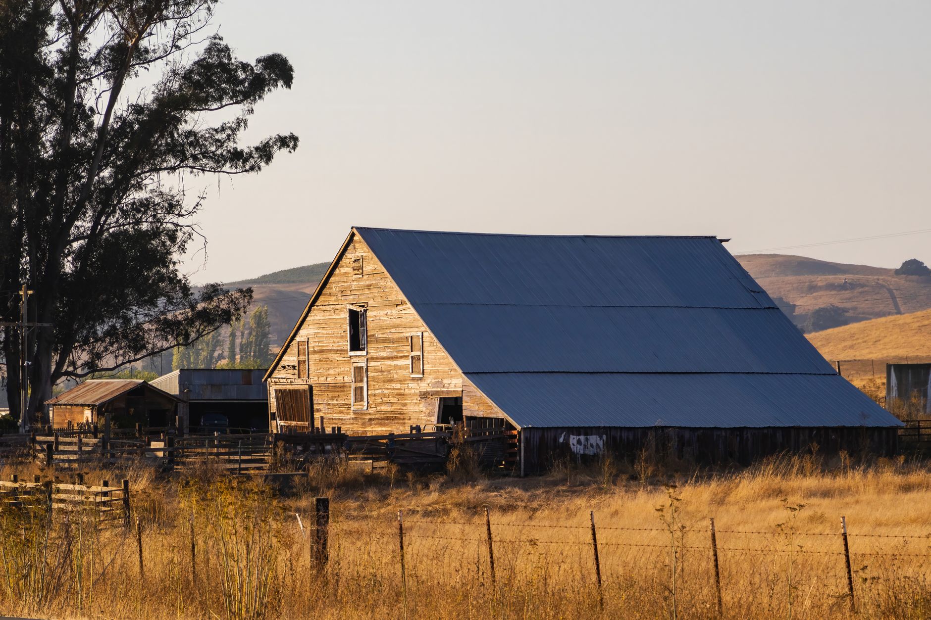 Glenn County California rice and farmland acreage in the Sacramento Valley
