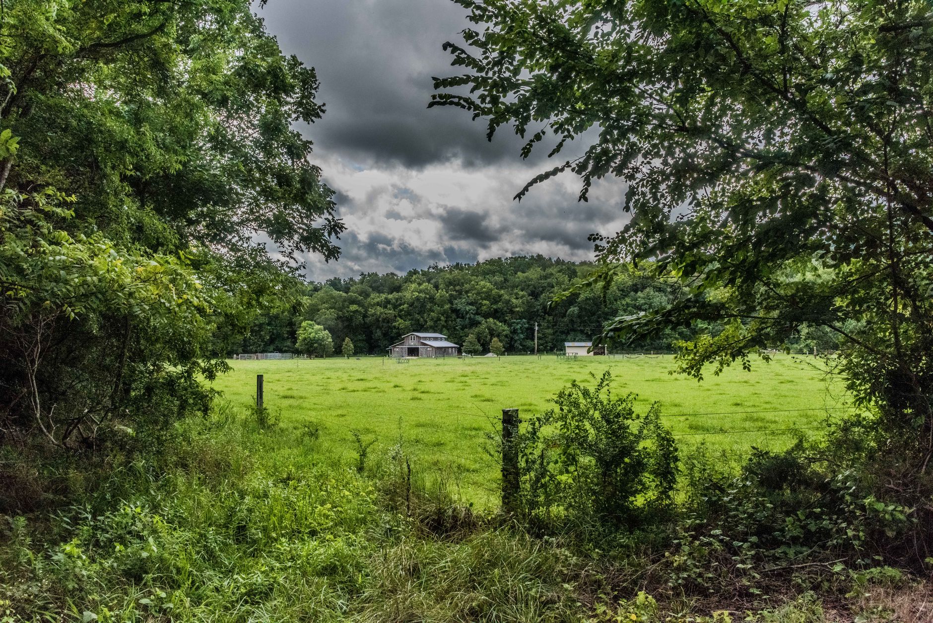 Rural Henderson County, Tennessee farmland and pasture at golden hour, West Tennessee row-crop and cattle country.