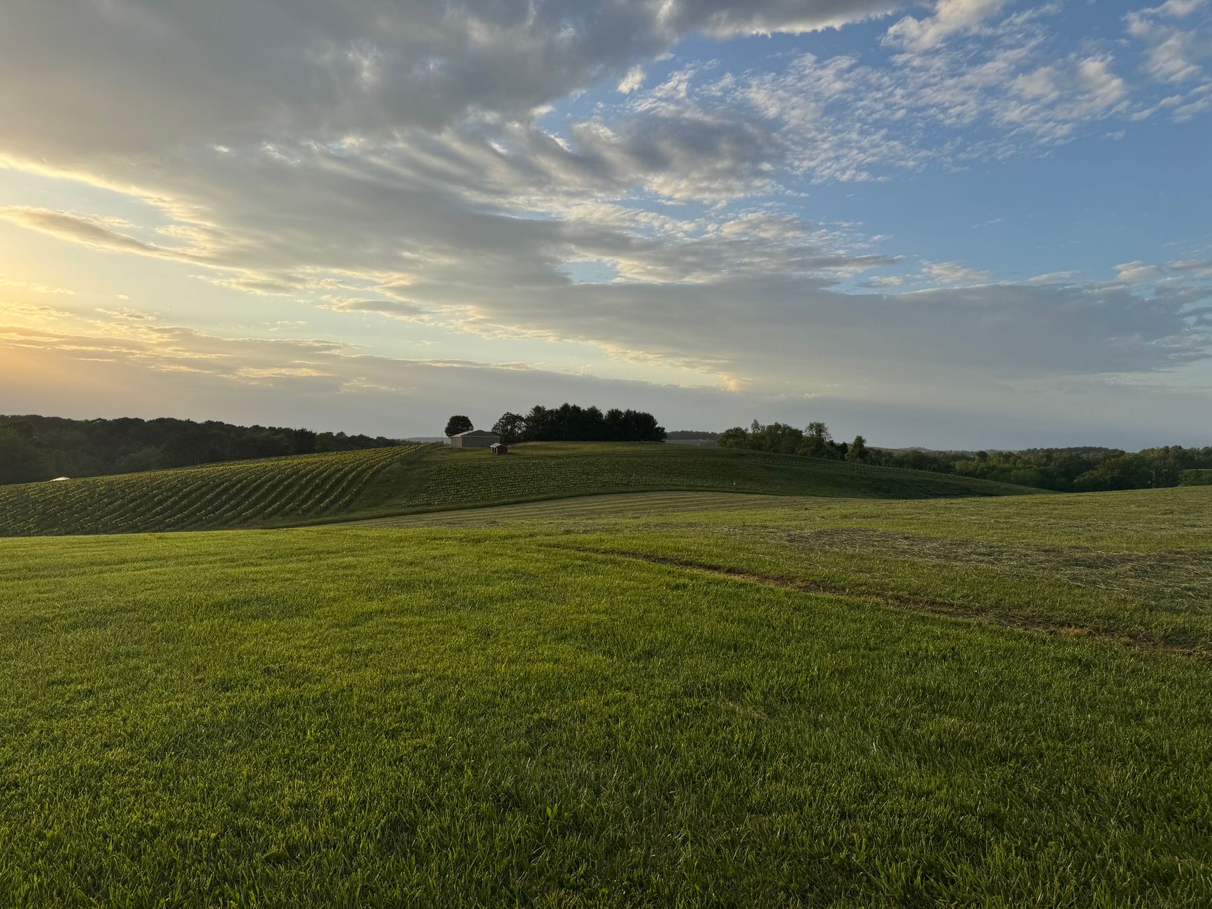 Western Maryland Appalachian farmland and woodland, representative of Garrett County acreage.
