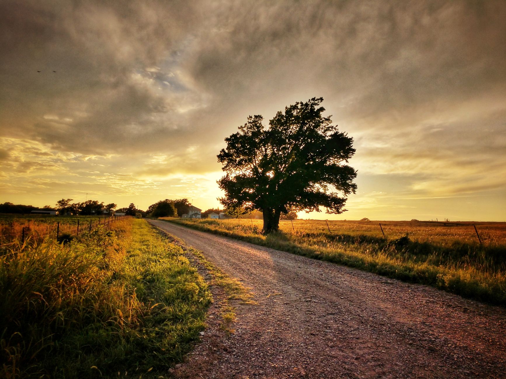 Rural Kansas farmland and open plains under golden-hour light, representative of vacant land being appraised.