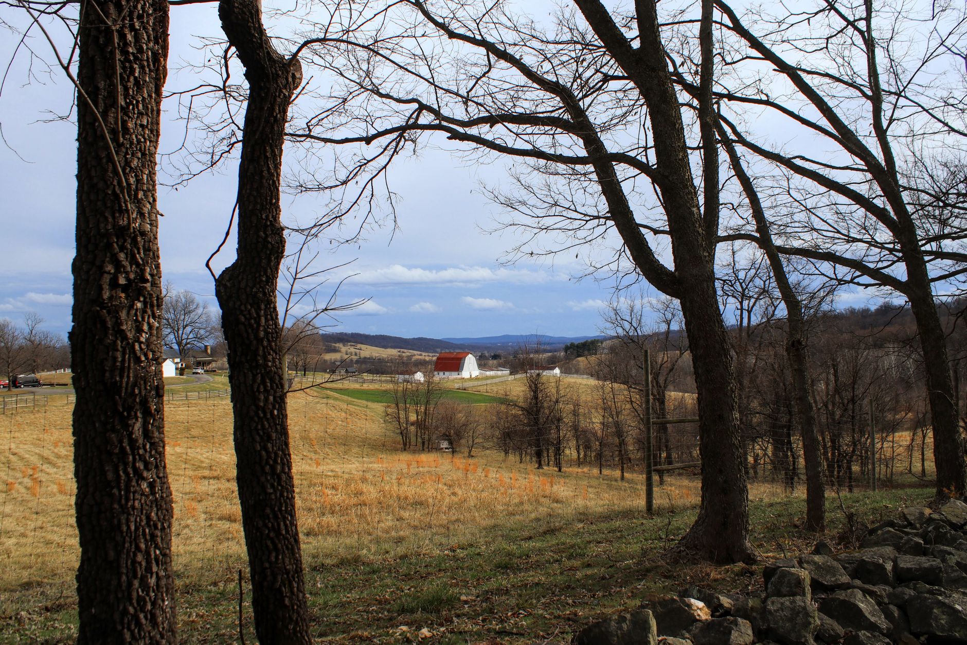 Rural Virginia woodland and open acreage, representative of King George County land