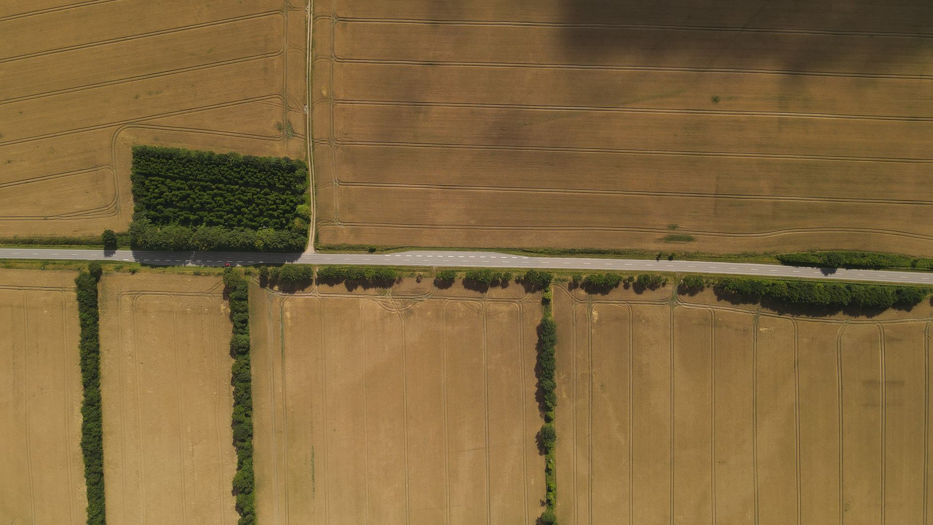 Rural Delaware farmland with open fields, golden hour, representing New Castle County's agricultural land.