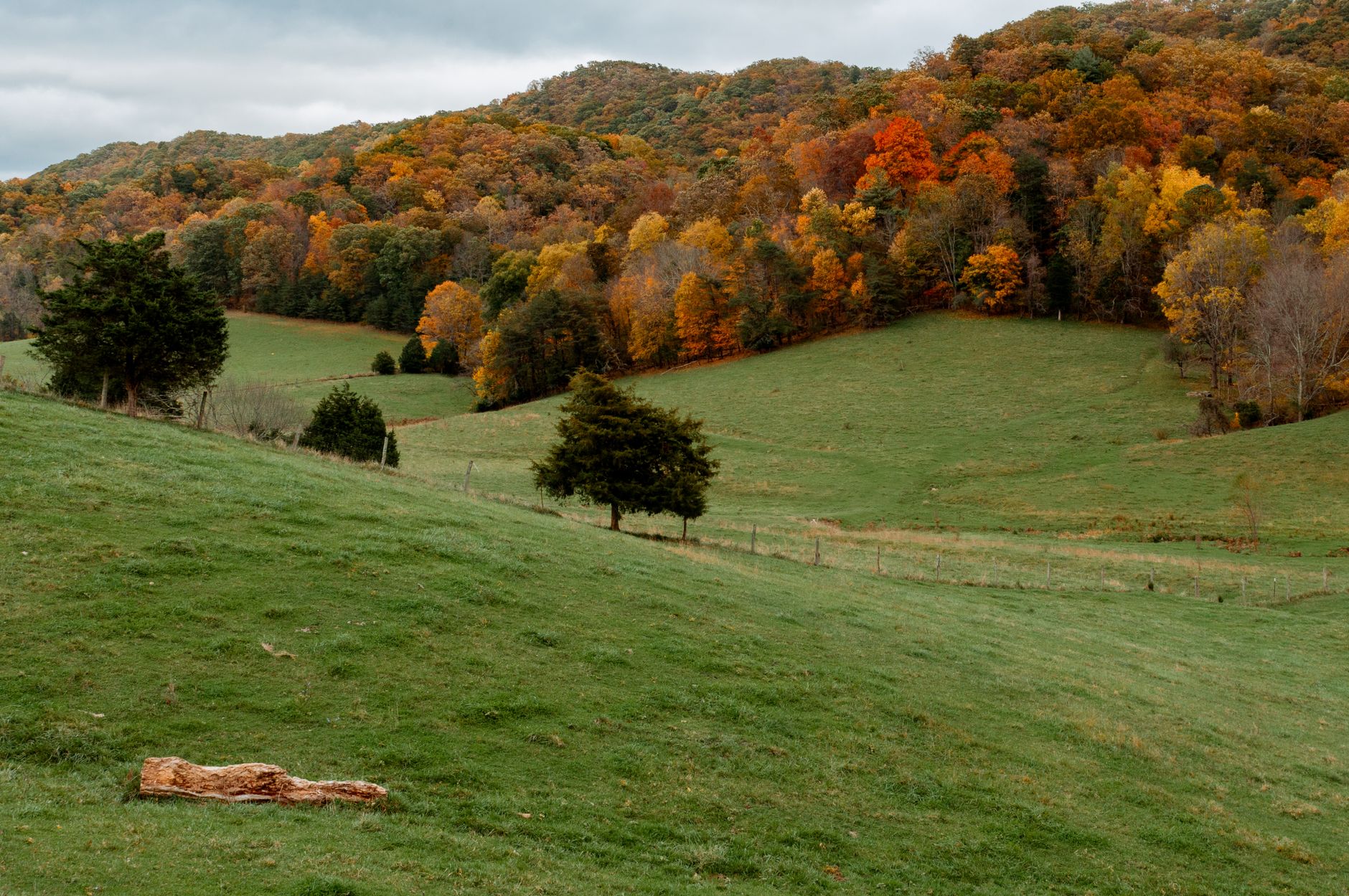 Southwest Virginia rural acreage near the Blue Ridge Parkway.