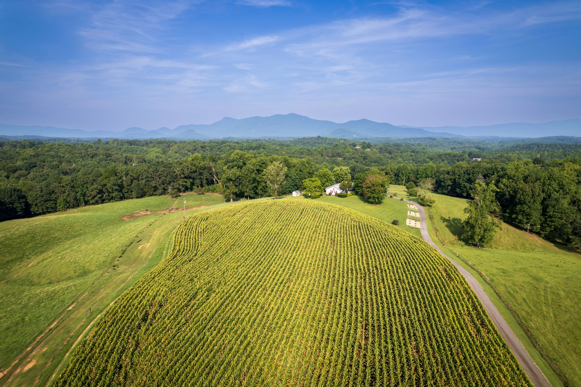 Aerial view of rural Piedmont timberland and farmland near Troy, Montgomery County, North Carolina