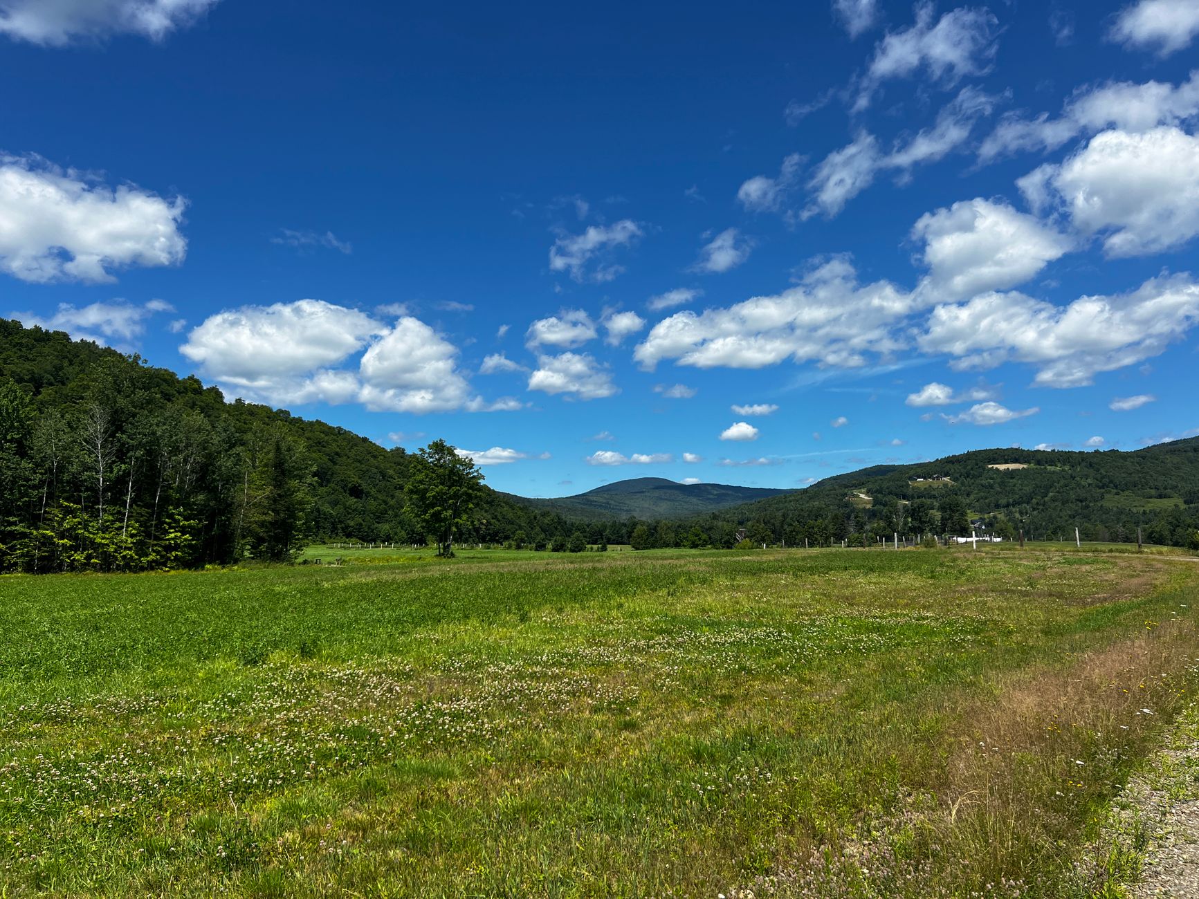 Rural New Hampshire forest and open land at golden hour, representative of land for sale in New Hampshire.