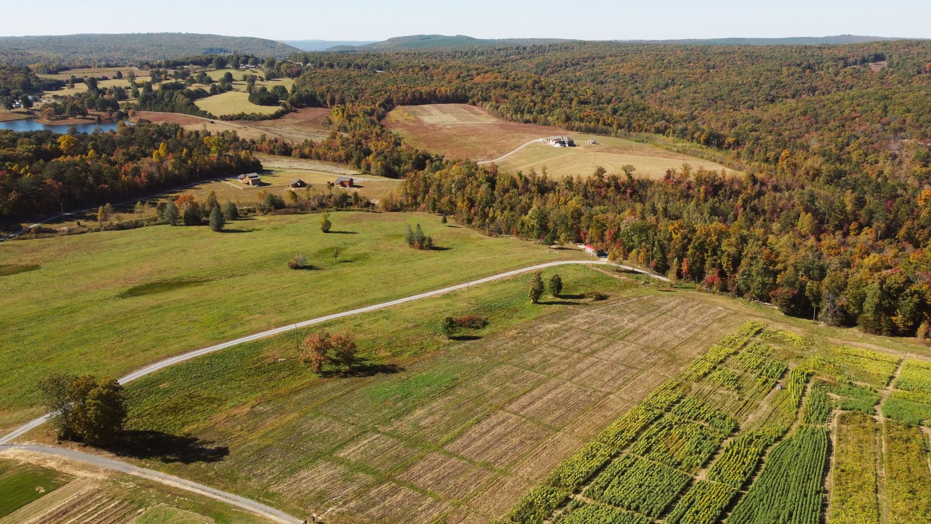 Wooded and open rural land in Carroll County, Tennessee, representative of the county's farm and timber tracts.