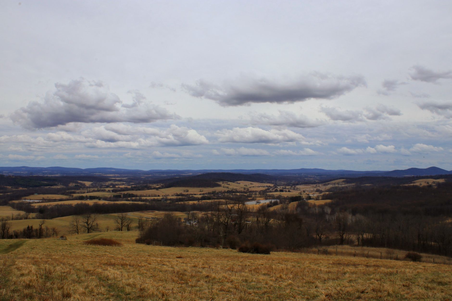 Rural Virginia farmland and rangeland near river country, golden hour