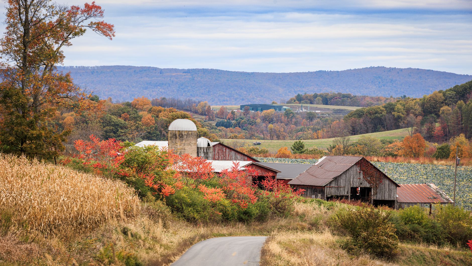 Rural Pennsylvania farmland and tree line bisected by a cleared utility right-of-way, golden-hour light.