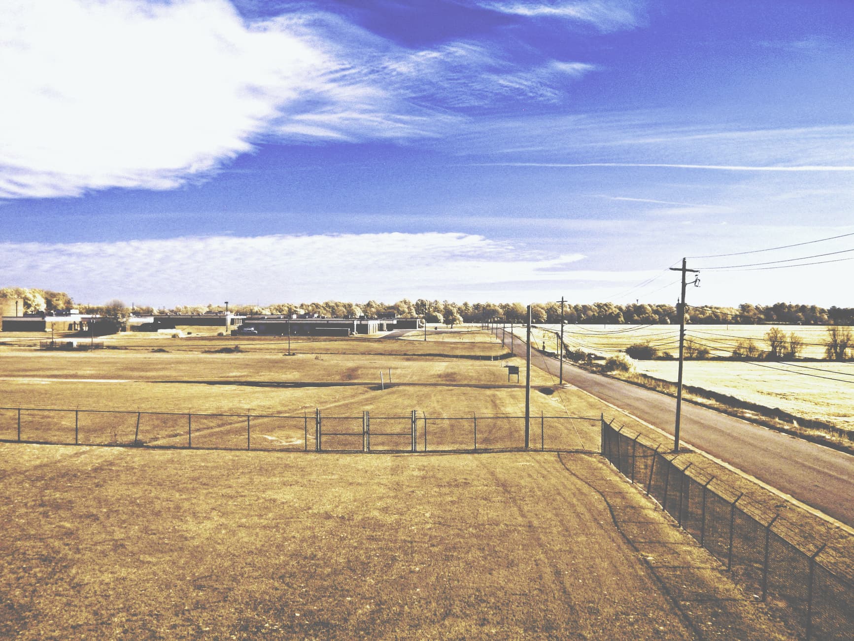 Timberland and open pasture in Jones County, Georgia near the Ocmulgee River basin.