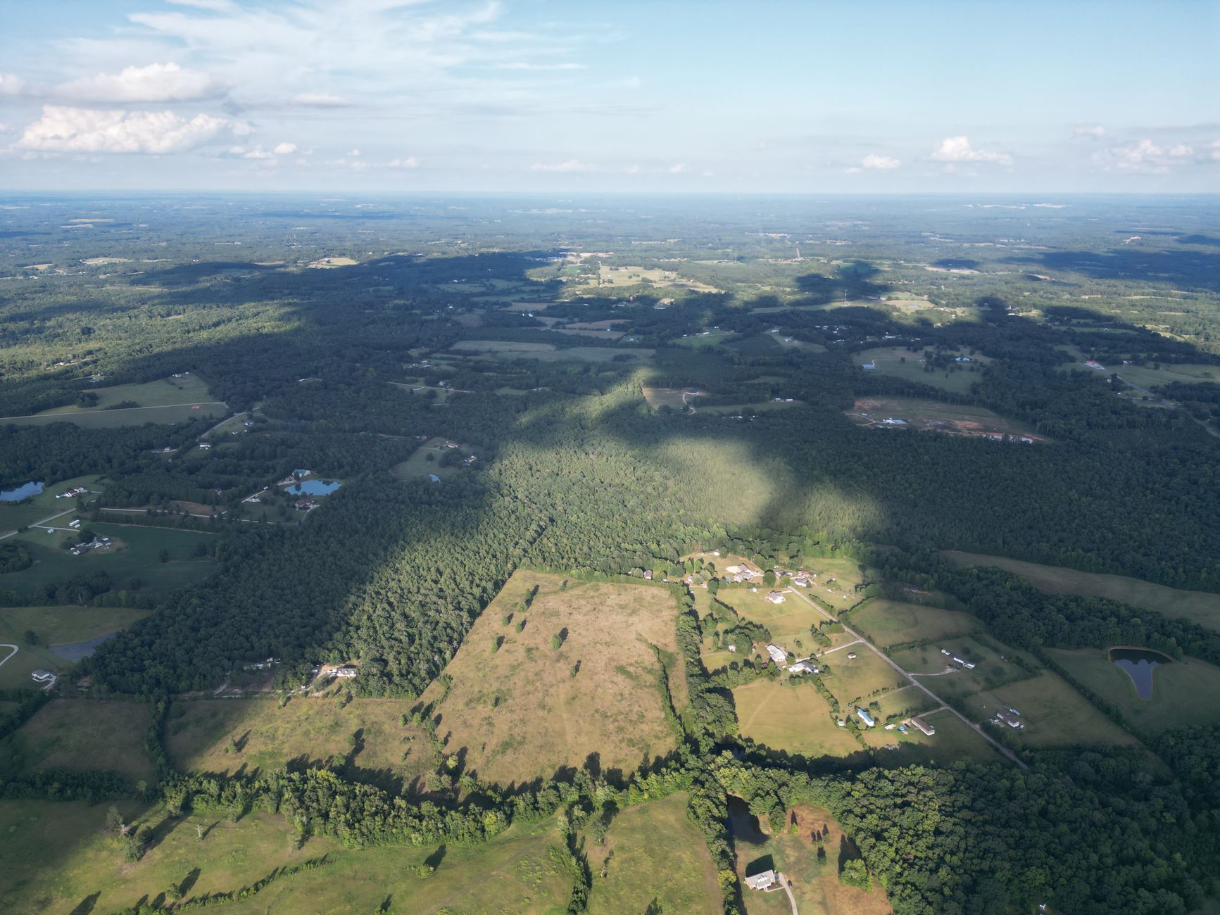 Rural Marlboro County, South Carolina farmland and pine timberland, golden hour.