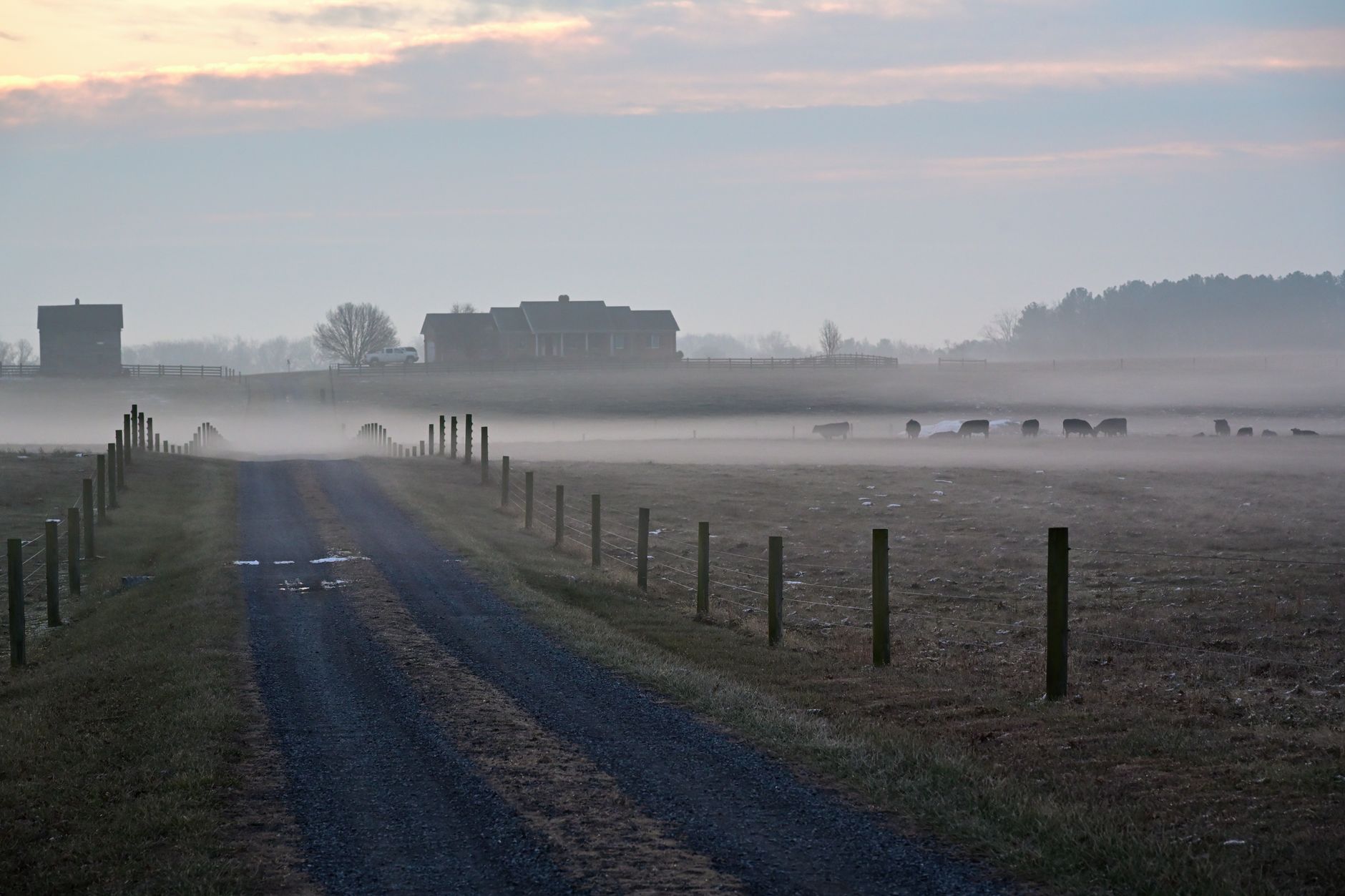 Rural Dinwiddie County, Virginia cropland and timberland, representative of Southside Virginia acreage.