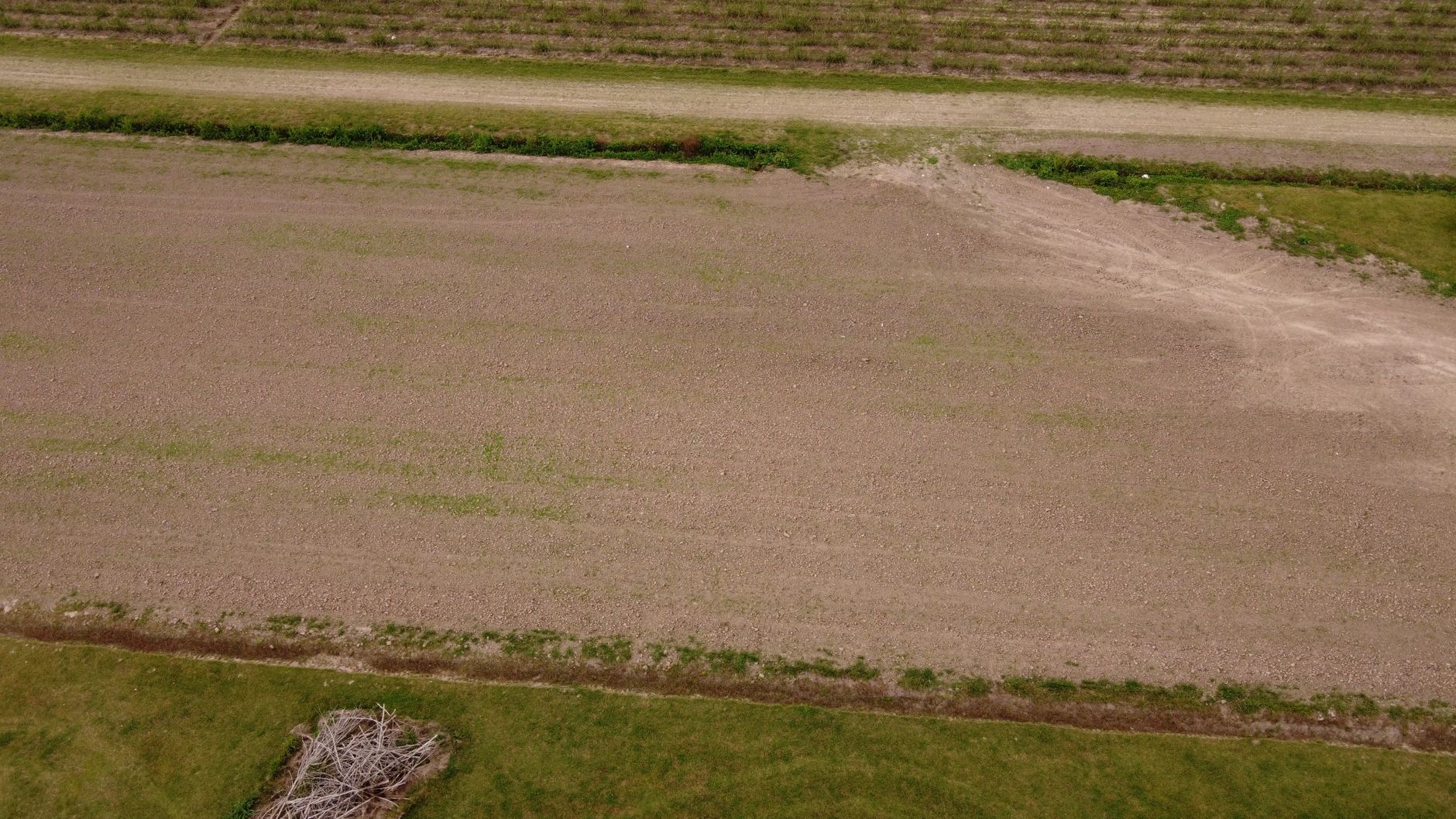 Aerial view of rural Louisiana farmland and bottomland at golden hour, illustrating land ownership and property tax considerations.