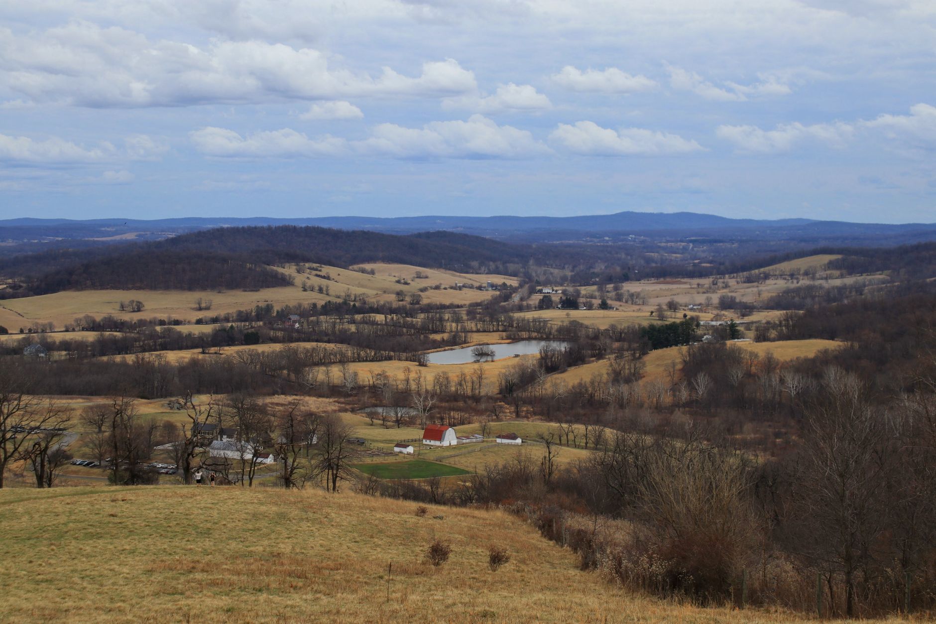 Forested hillside land in Wythe County, Virginia near the New River.