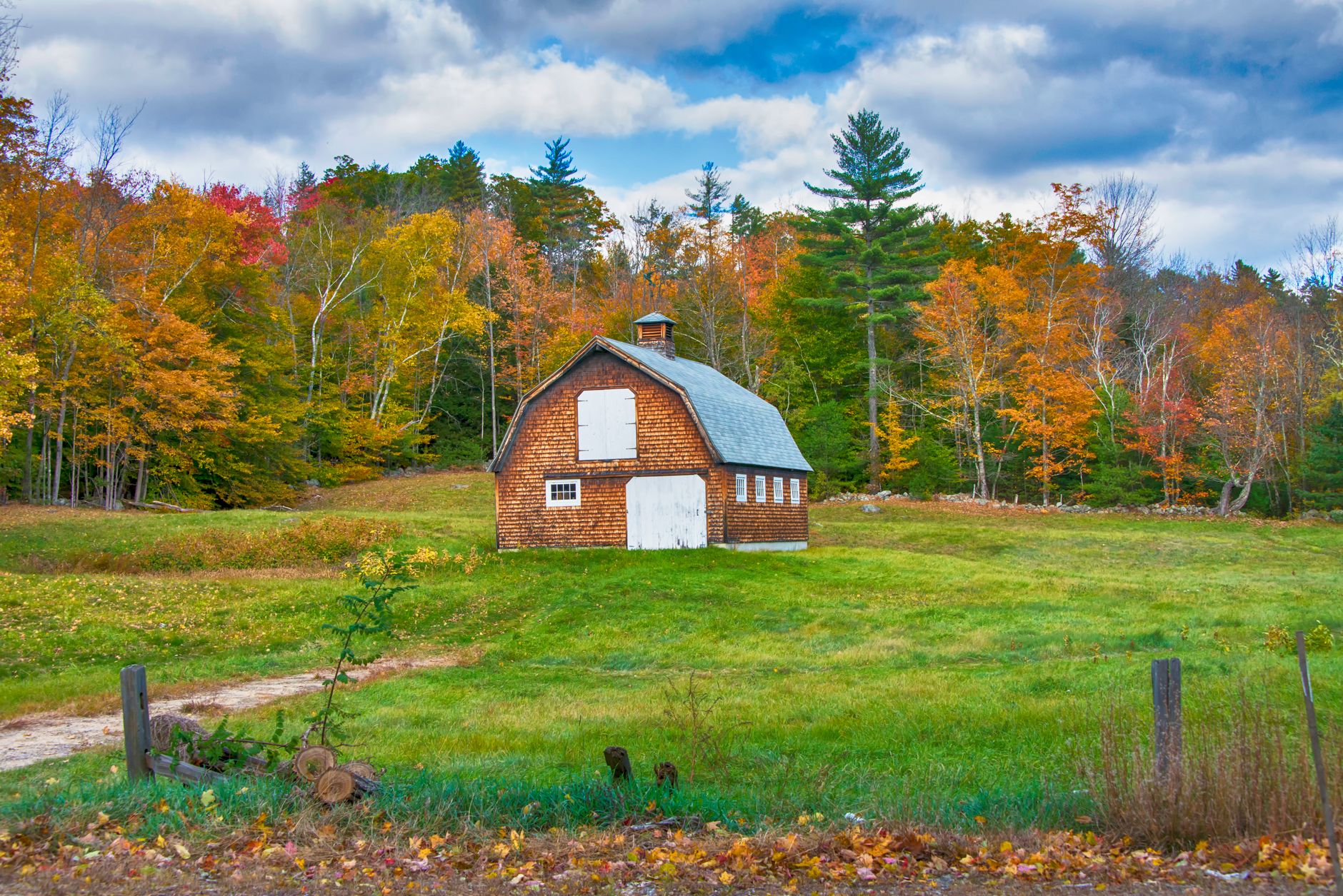 Rural New England farmland and tree line at golden hour, representing land held in an ownership entity