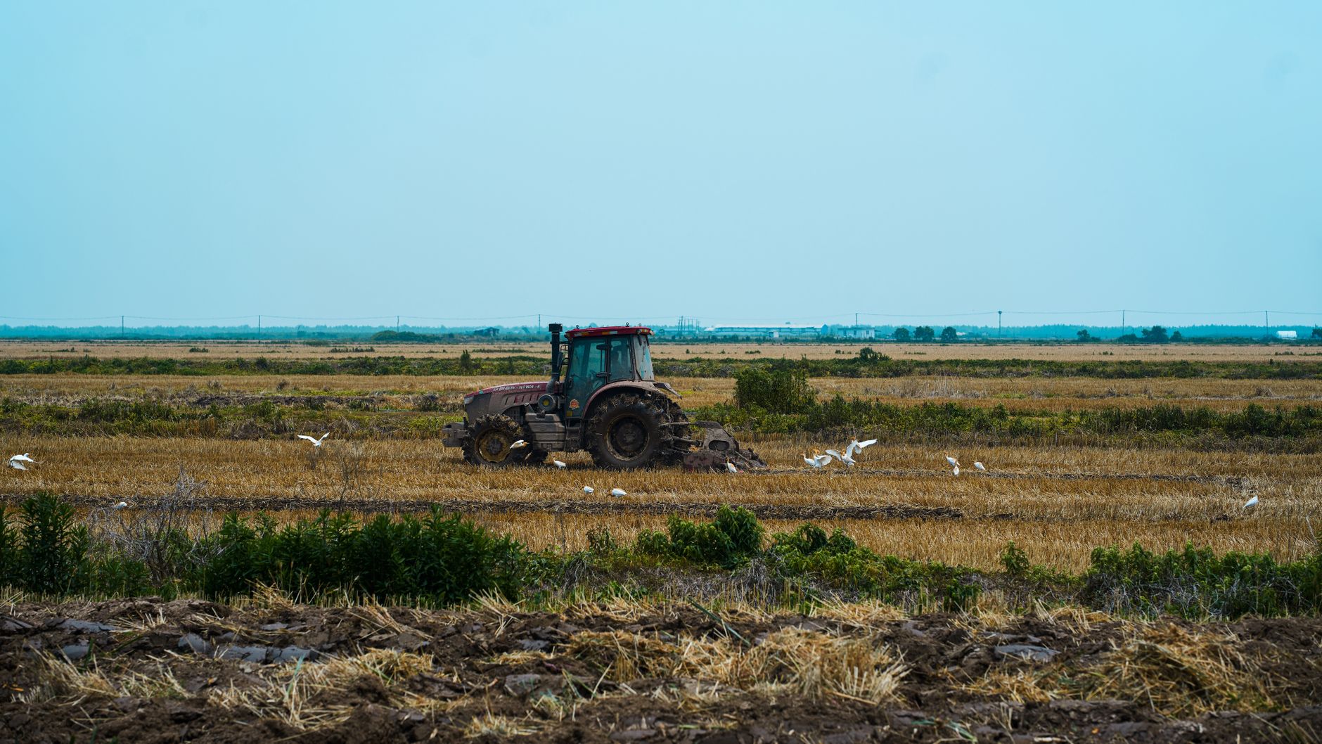 Wetland-fringed rural land at golden hour, representative of wetland-affected acreage in the Gulf South.