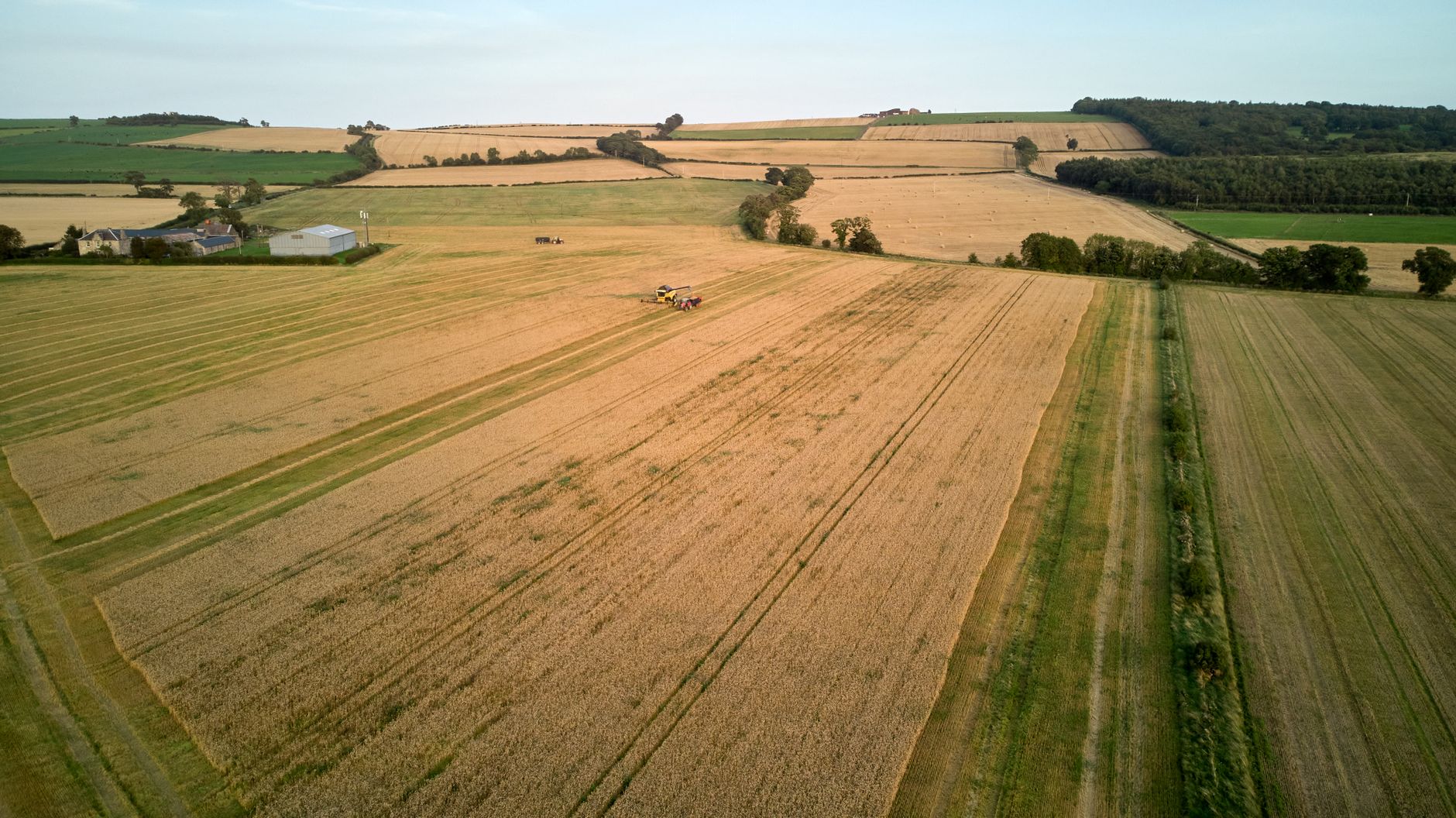 Sussex County, Delaware open farmland, mid-page representative image.