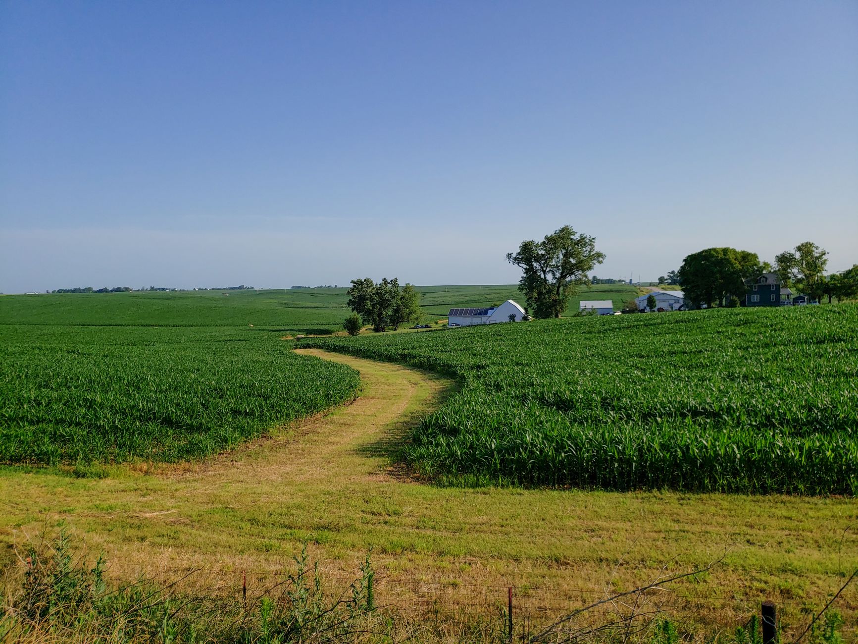 Iowa farmland and cropland for sale, aerial view of rolling row-crop fields.