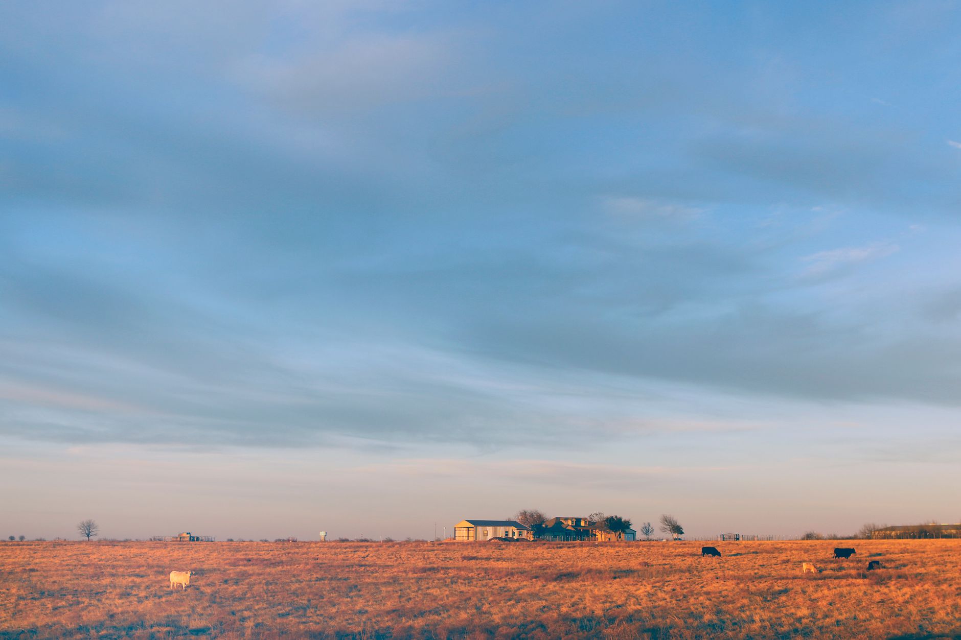 Open Oklahoma prairie and cattle pasture under a wide sky