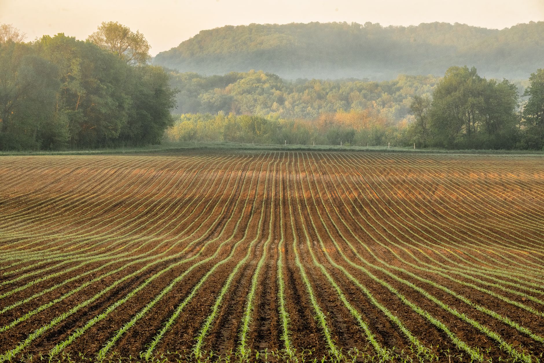 Aerial view of rural Logan County Kentucky farmland and pastureland at golden hour.