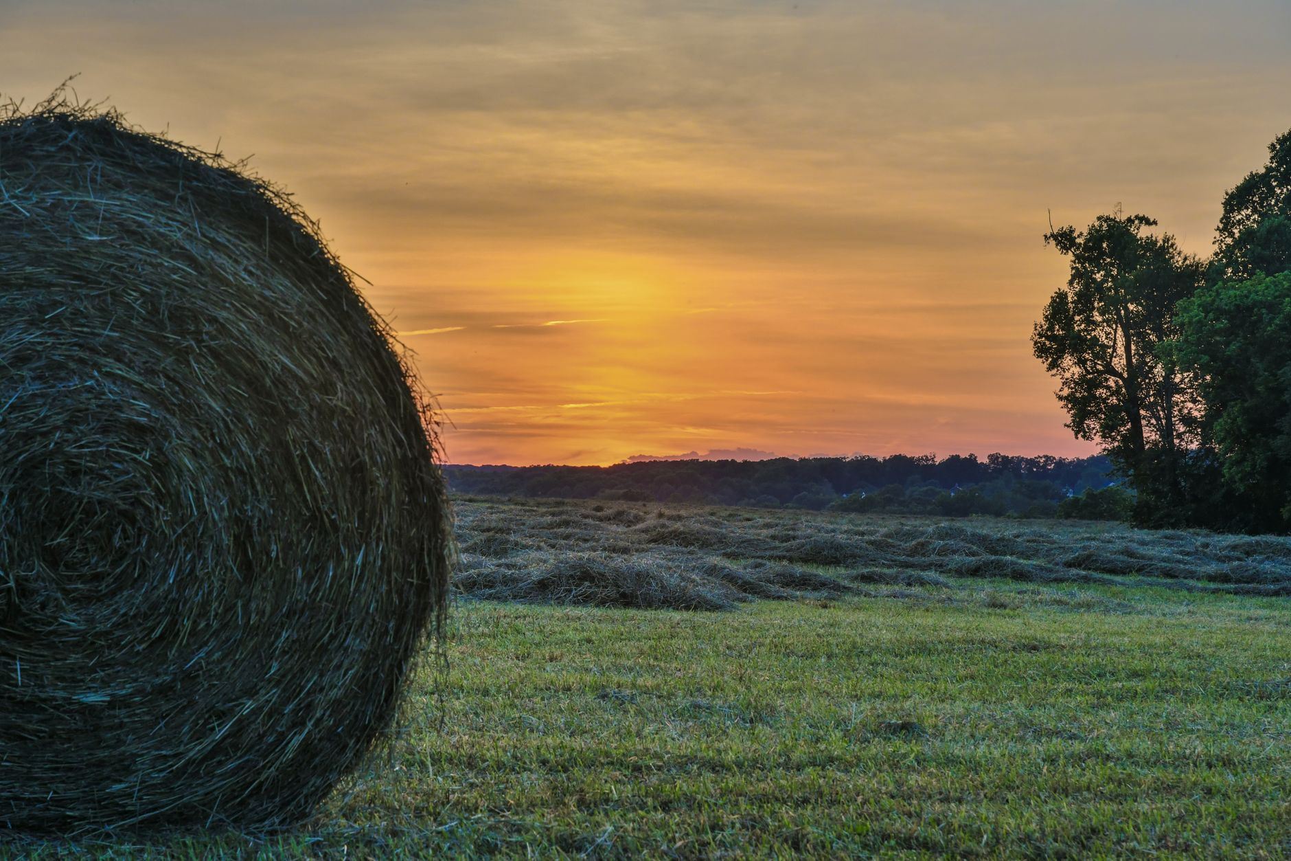 Maryland Eastern Shore farmland and tidal marsh at golden hour, representative of Somerset County land.